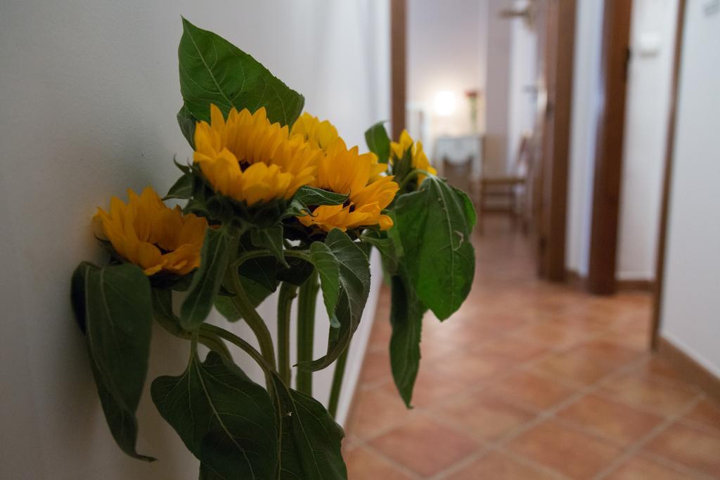 Casa Rural Migolla Osuna Buitenkant foto